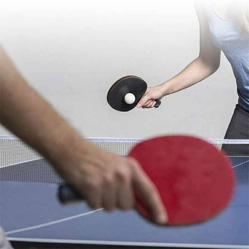 Portable Table Tennis Net Poly - огляд і ціна Table Tennis Barrier